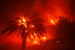 Inkongi z'umuriro muri Los Angeles zateje impaka: Ni ubuyobozi bwananiwe cyangwa ni igihano cy'Imana?