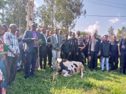 Kwibuka30: Bethesda Holy Church yunamiye abazize Jenoside yakorewe Abatutsi inoroza inka icumi abarokotse