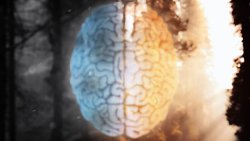 Imana Yaremye Ubwonko mu Buryo Bushobora Guhinduka: Byinshi Ubushakashatsi Bwagaragaje 