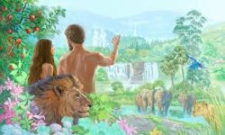 Adam: It Likely Took Him 100-300 Years to Name All the Creatures