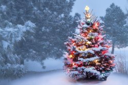 10 Common Christmas Mistakes Churches Should Avoid