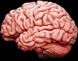 God's Design for Brain Change Helps a Sinner to Believe in Jesus 