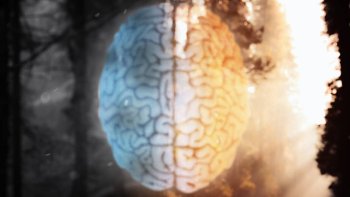 Imana Yaremye Ubwonko mu Buryo Bushobora Guhinduka: Byinshi Ubushakashatsi Bwagaragaje 